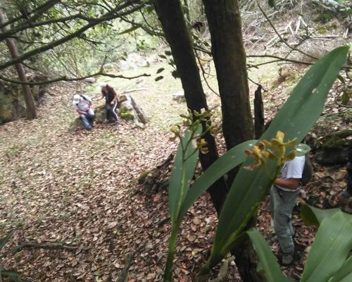 salidas pedagógicas ecológicas
