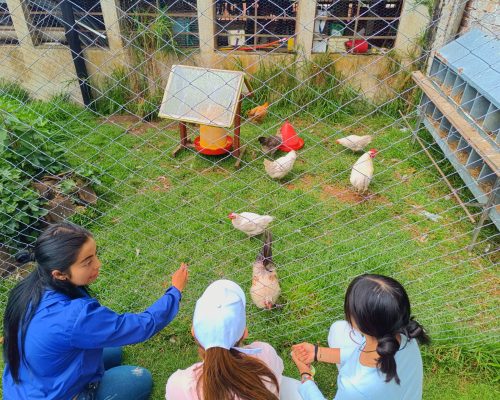 salidas pedagógicas ecológicas